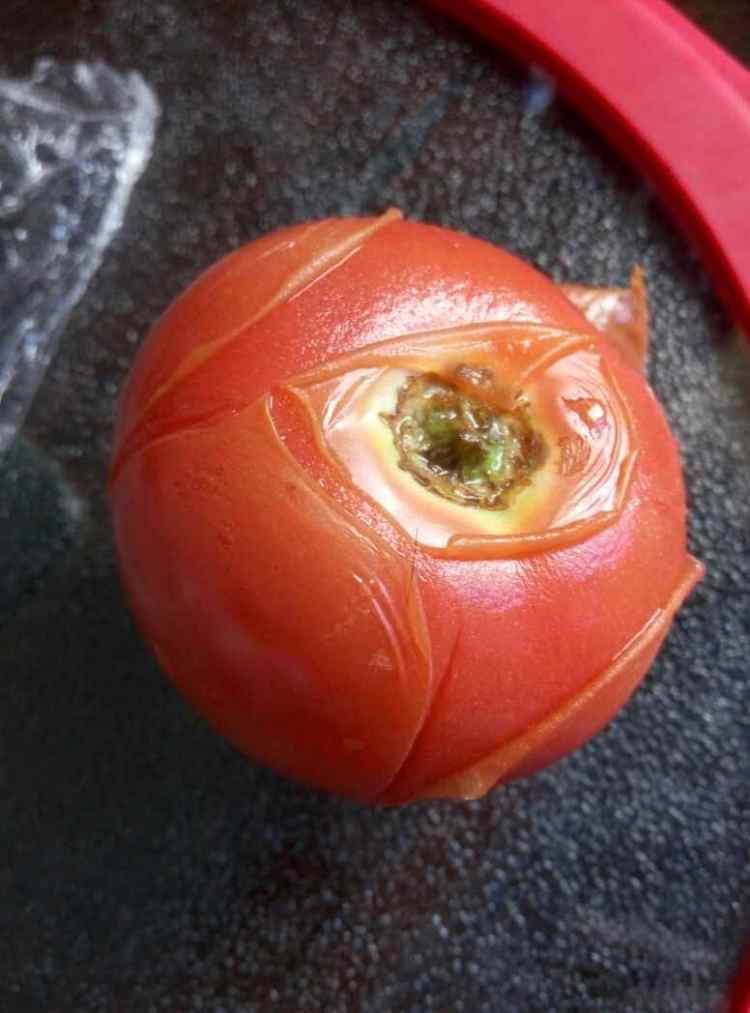 番茄鱼肉面-宝宝辅食