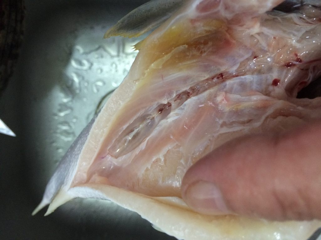 豉油皇蒸马友鱼