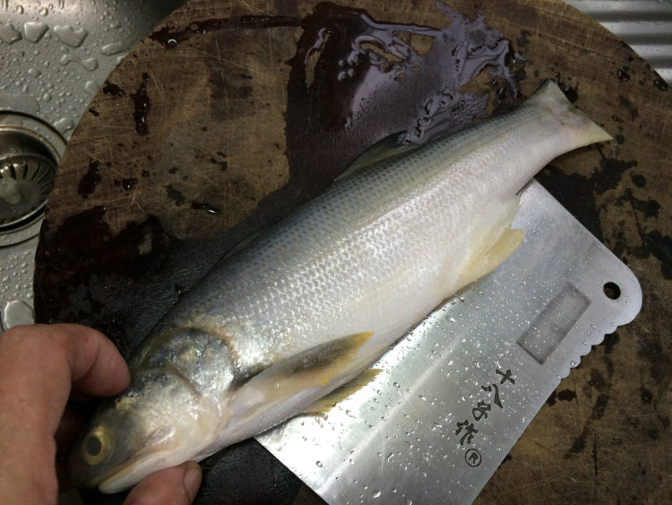 豉油皇蒸马友鱼