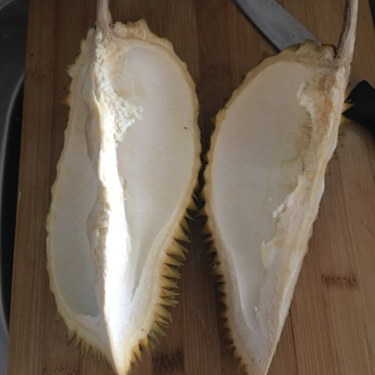 榴莲壳排骨汤