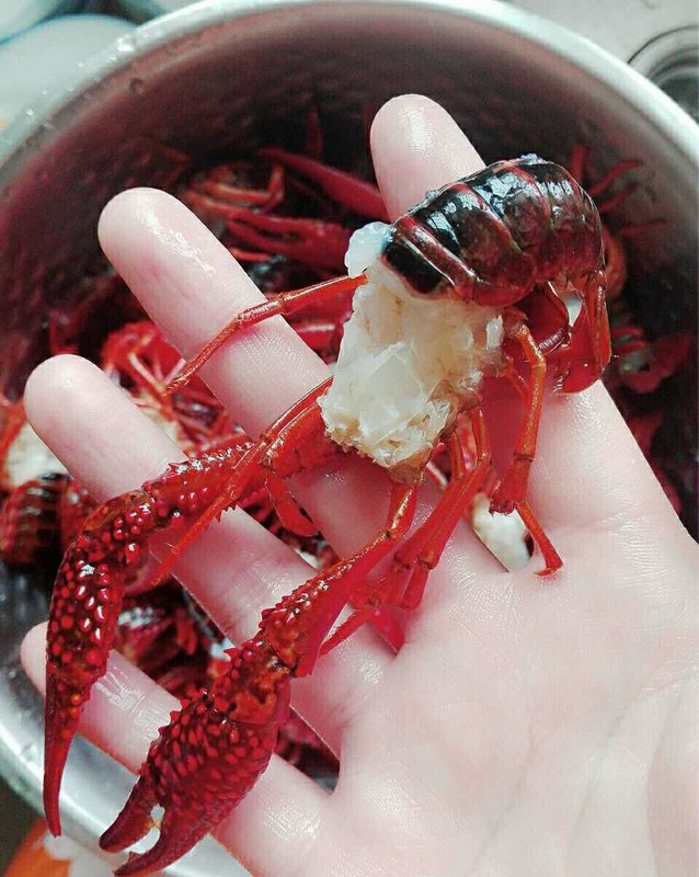 麻辣小龙虾