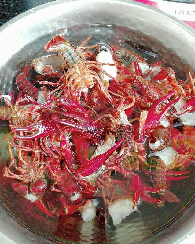 麻辣小龙虾