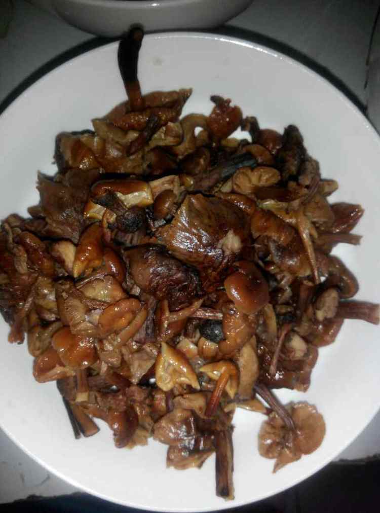 素混沌