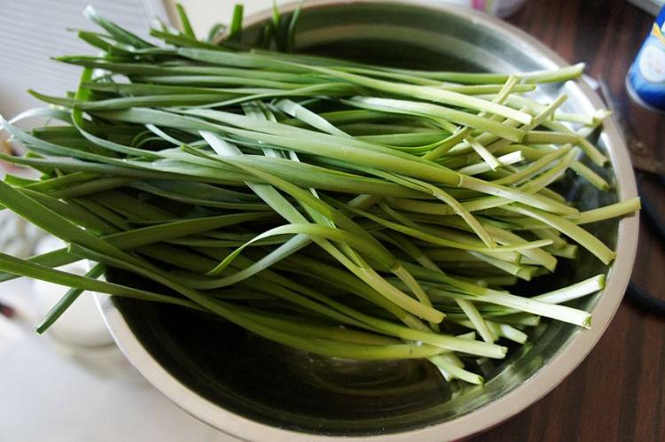 煎饼韭菜盒子