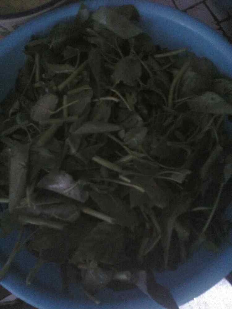 清炒空心菜
