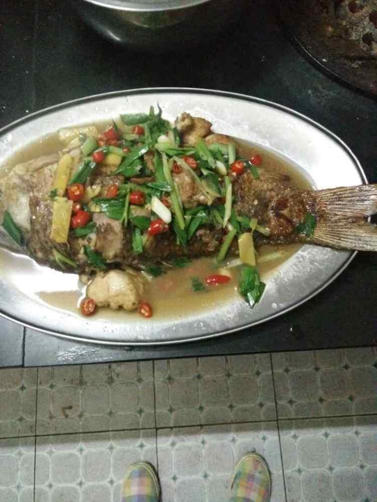 红烧鱼