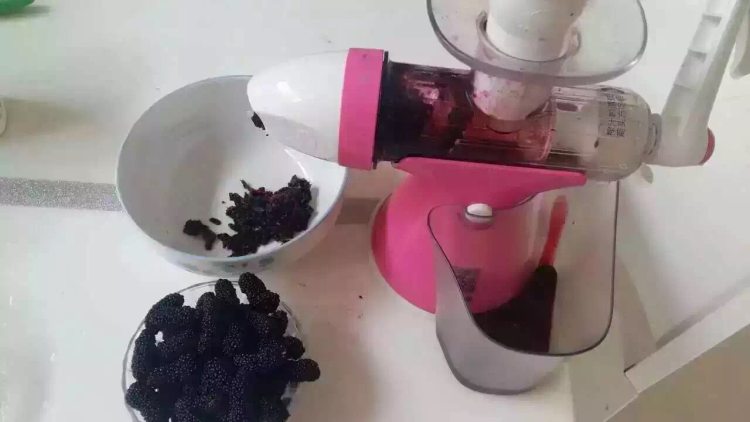 桑葚酱
