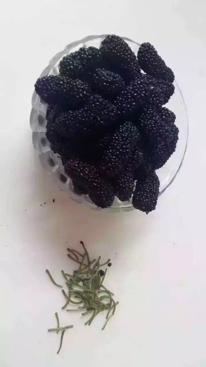 桑葚酱