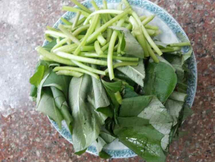 蕃薯叶