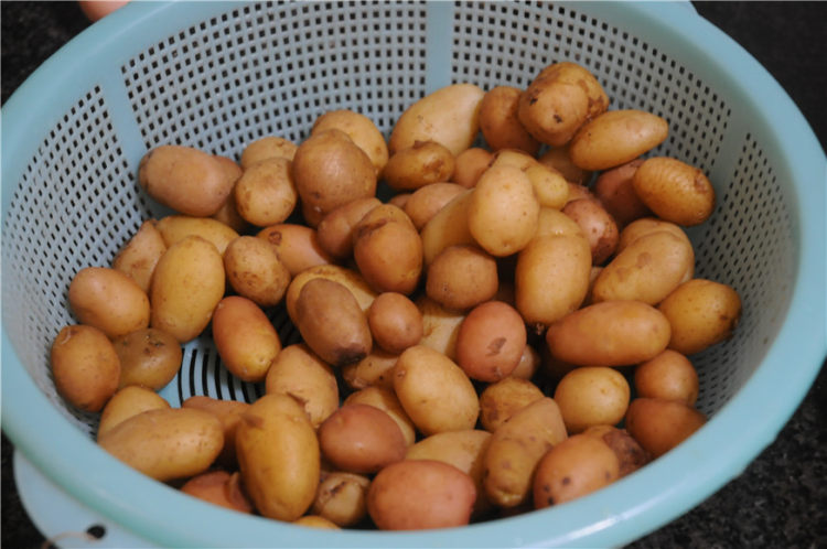 清新土豆泥
