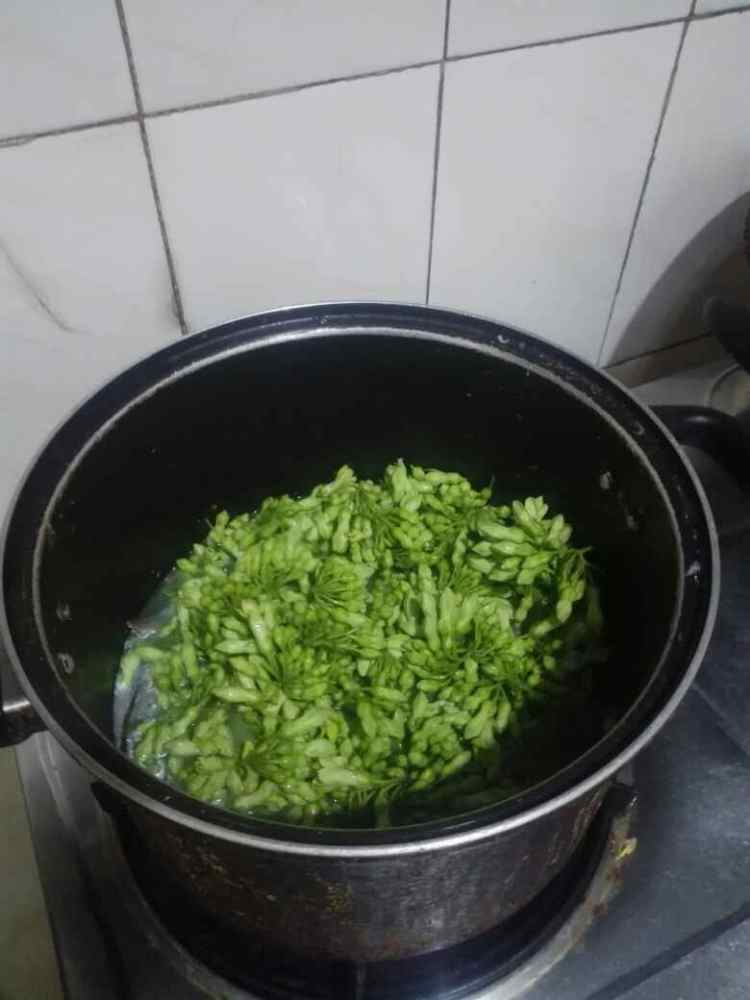 夜来香滚鲩鱼尾汤