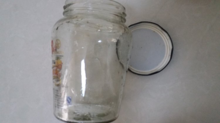 水蜜桃罐头