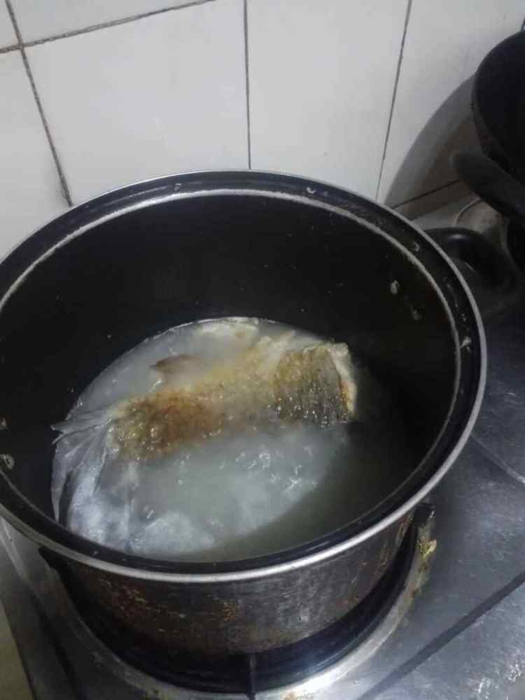 夜来香滚鲩鱼尾汤