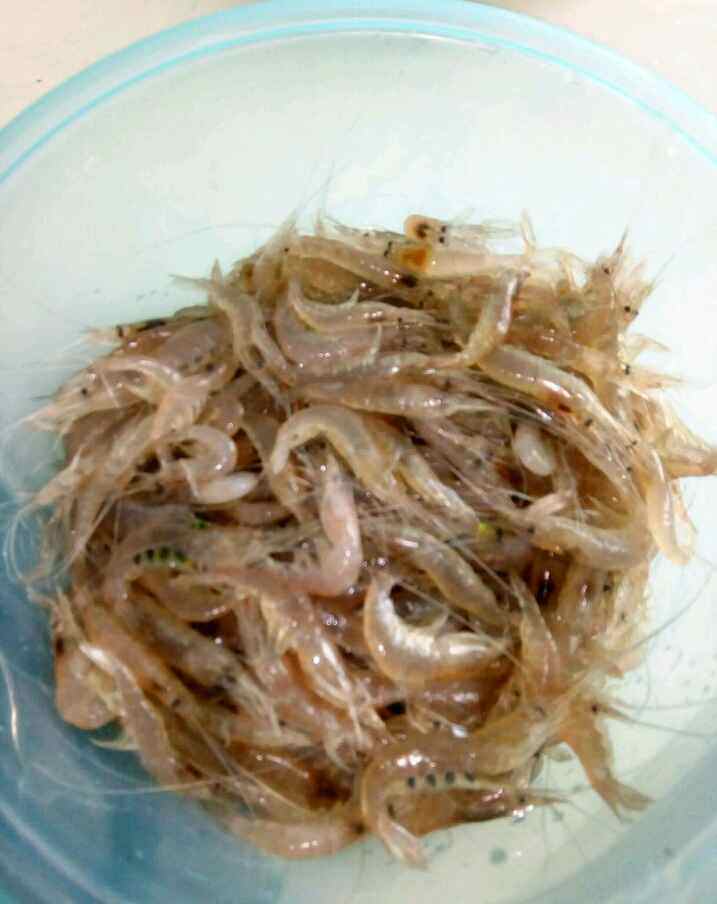 海鲜下酒菜