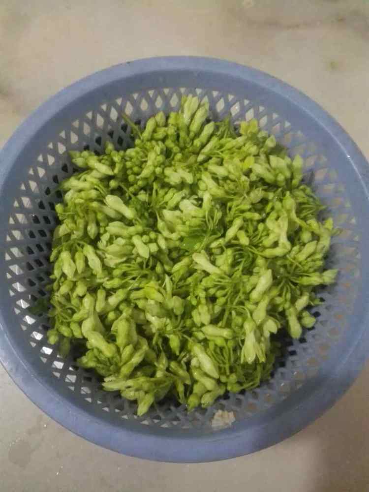 夜来香滚鲩鱼尾汤