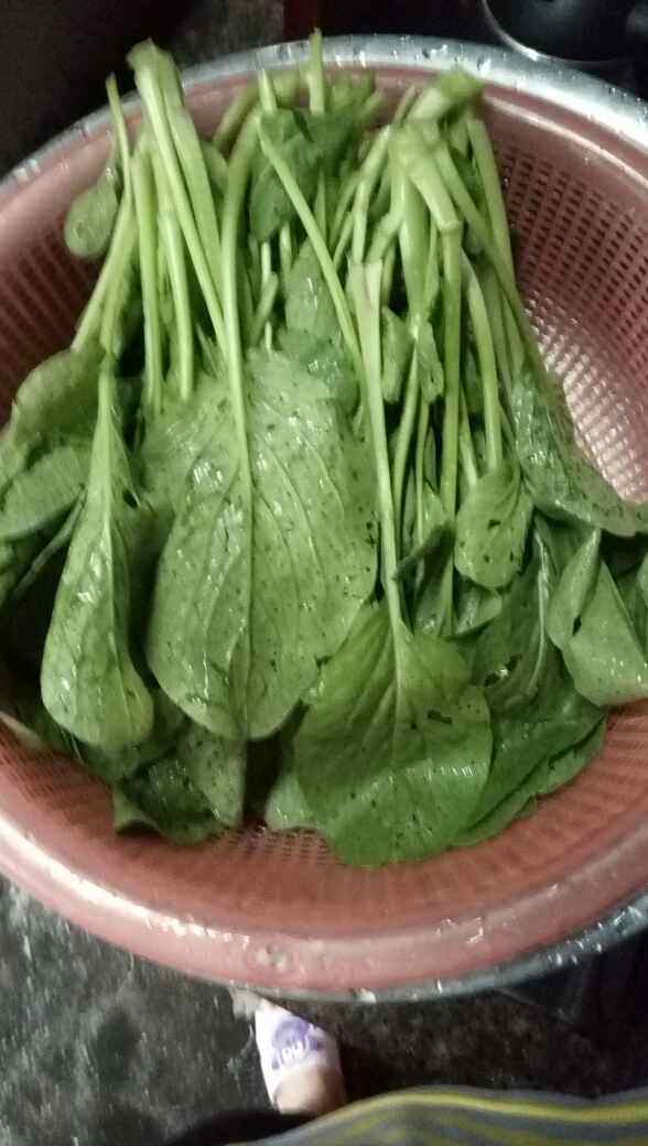 素炒青菜