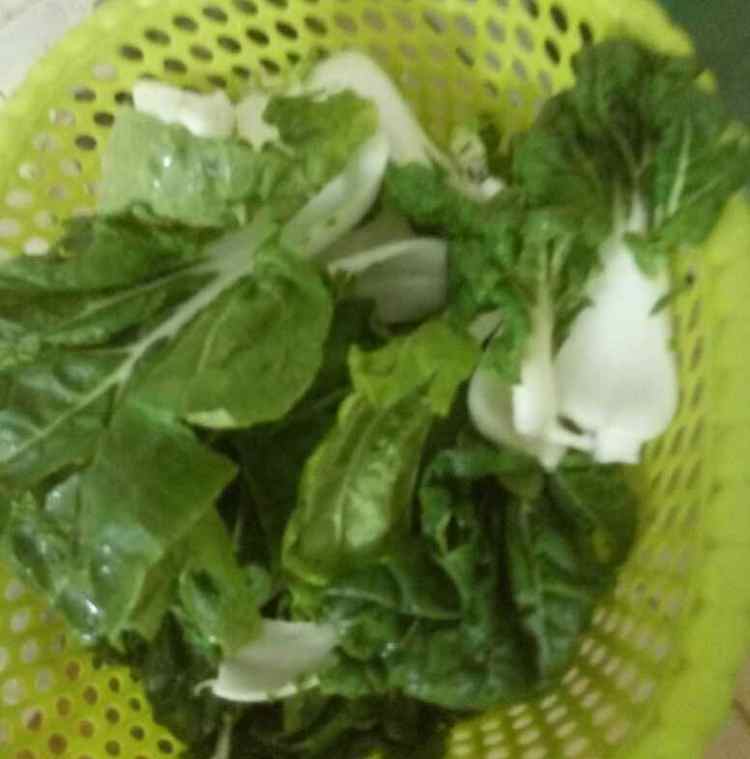 蚝油奶白菜