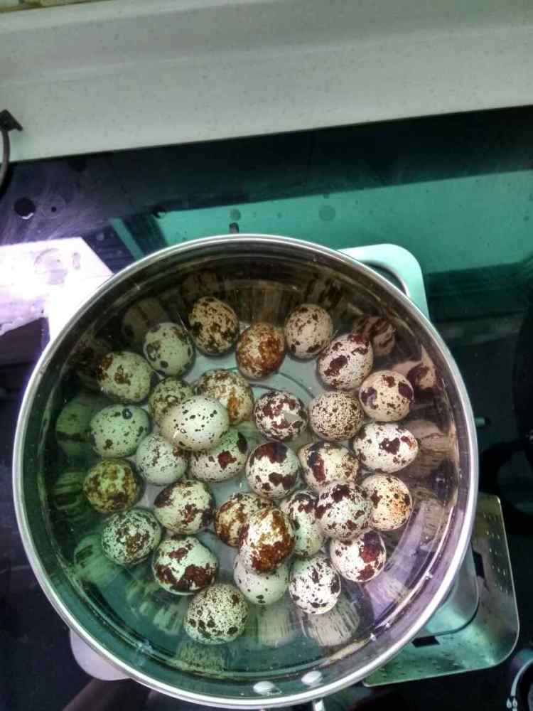 鹌鹑蛋杂菇煲