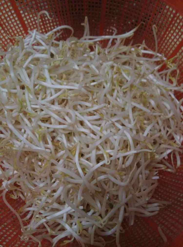 豆角炒豆芽
