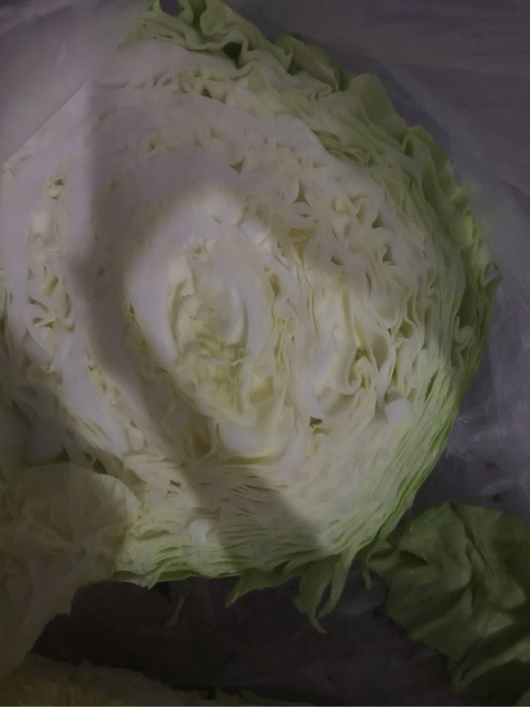 白菜粉条馅饼