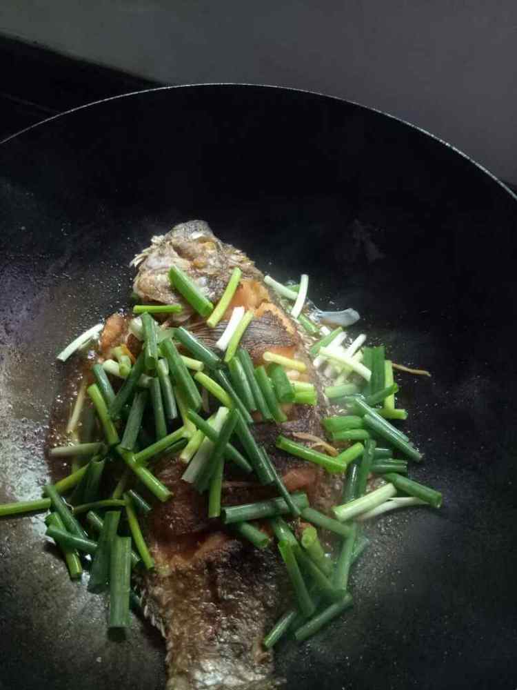 福寿鱼