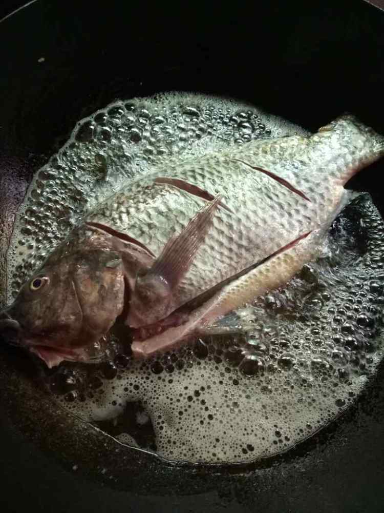 福寿鱼