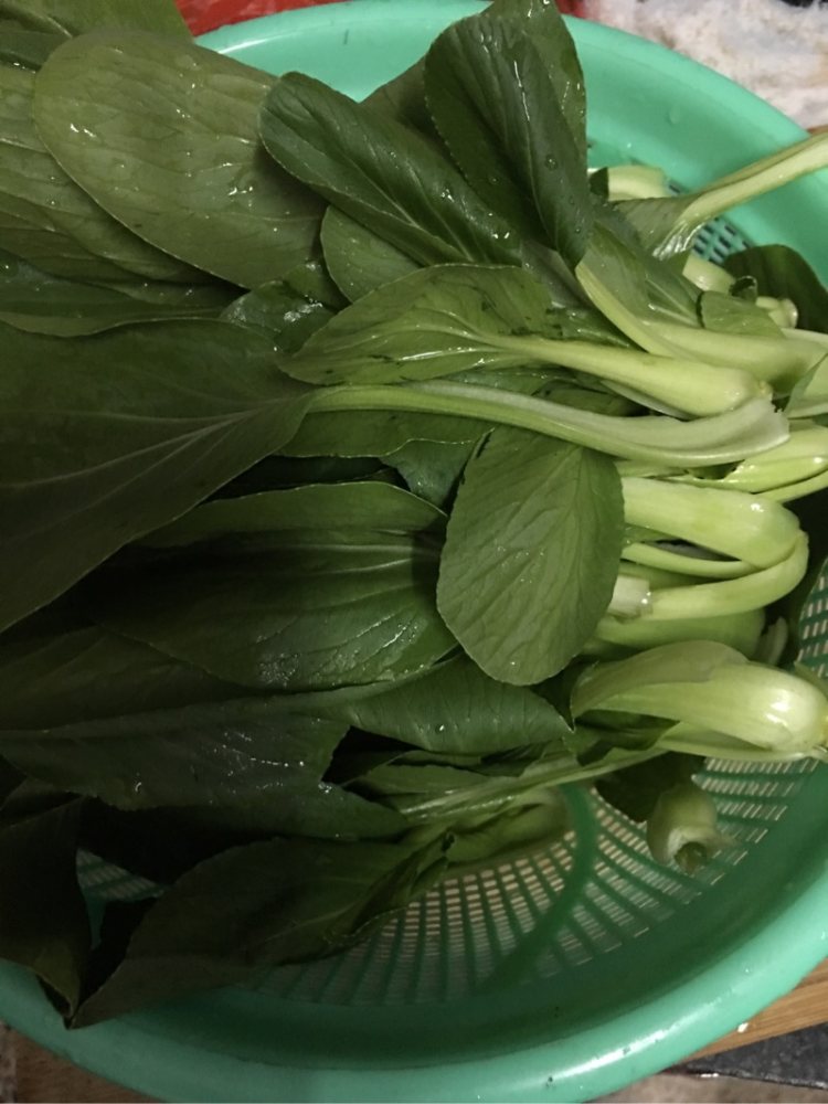 香菇菜
