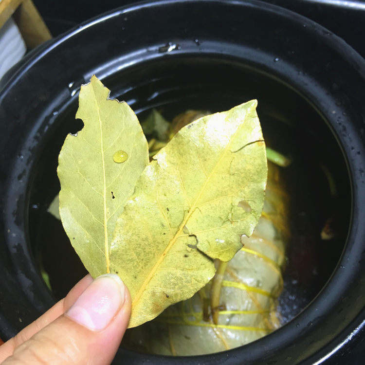 荷香卤鸭腿