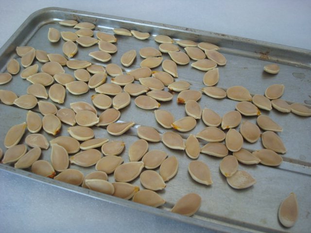烤南瓜子