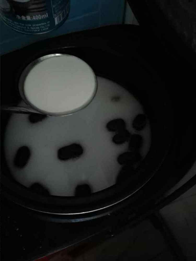 椰浆豆仁胶