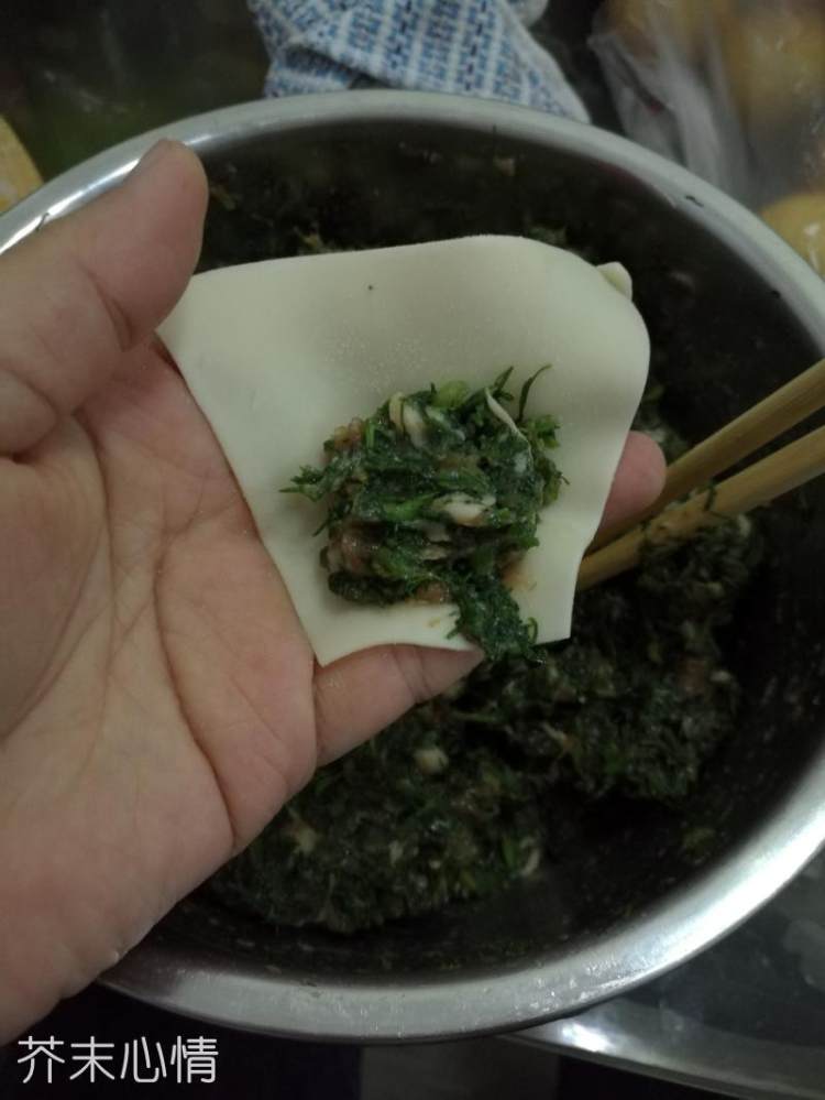 茴香鲜肉馄饨