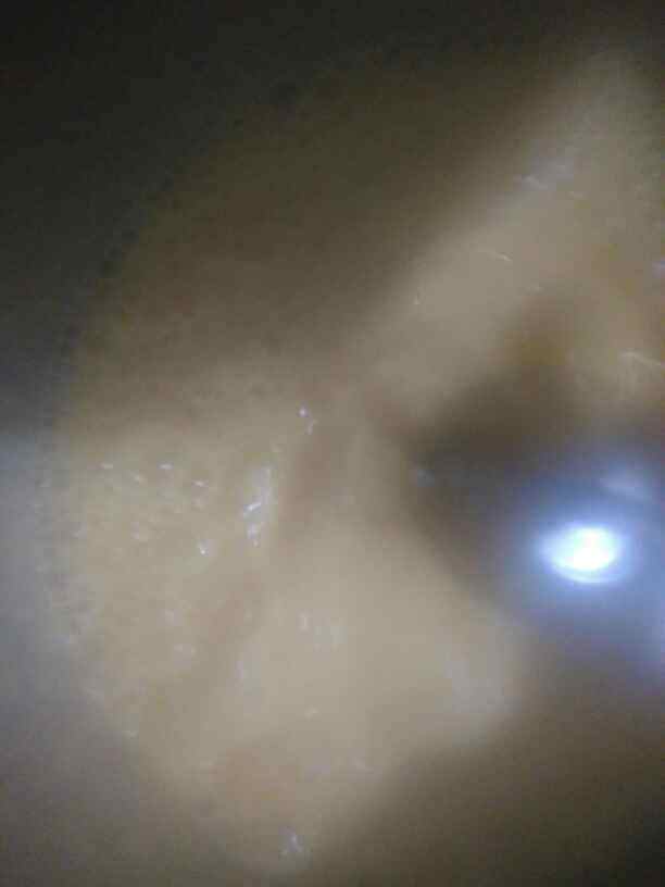 酸奶全蛋蛋糕