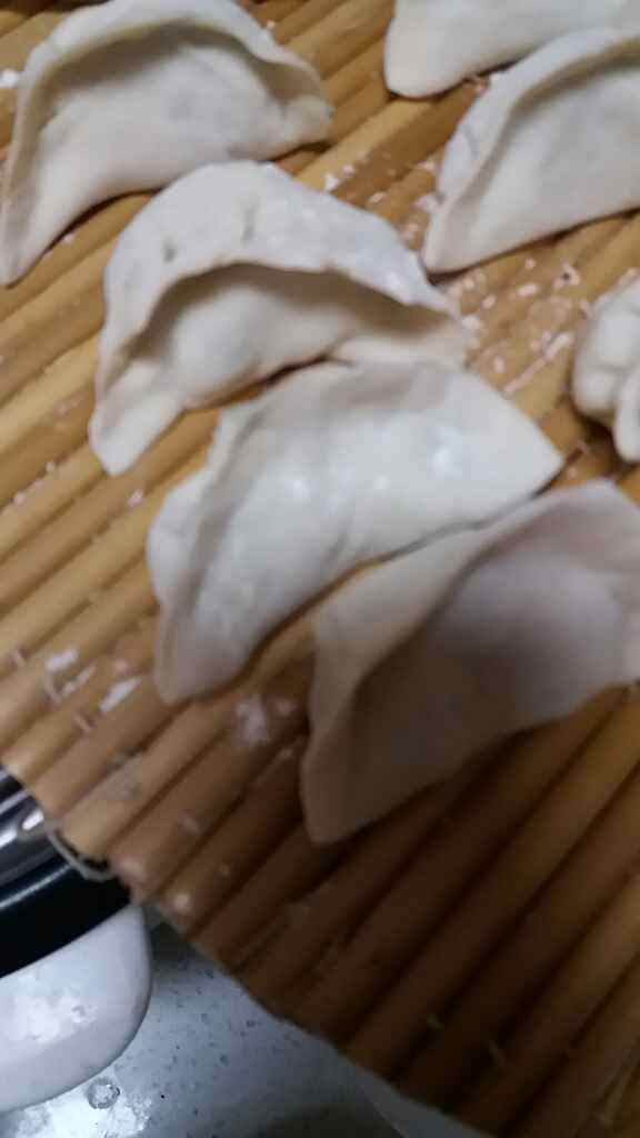 茴香鸡蛋饺子