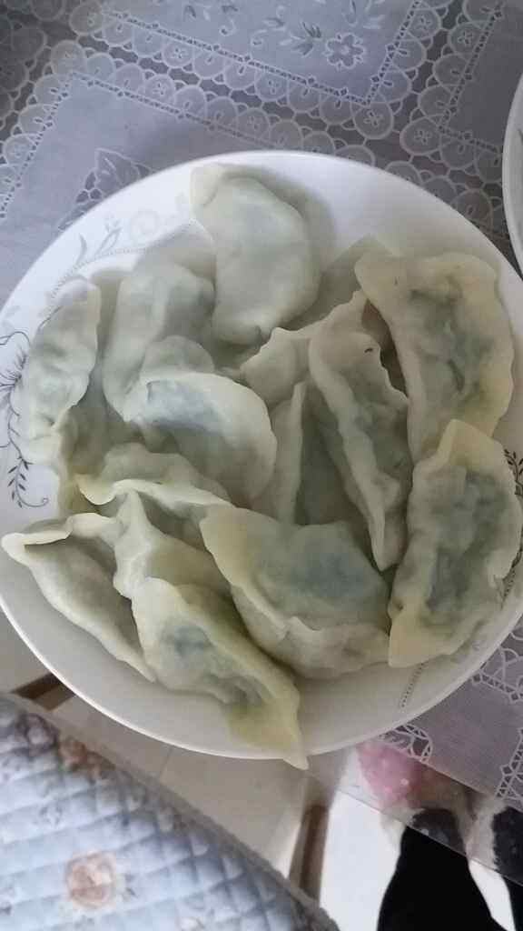 茴香鸡蛋饺子