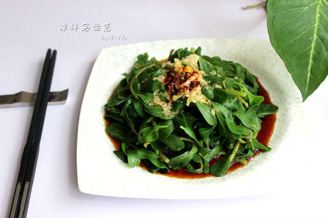 凉拌马齿苋