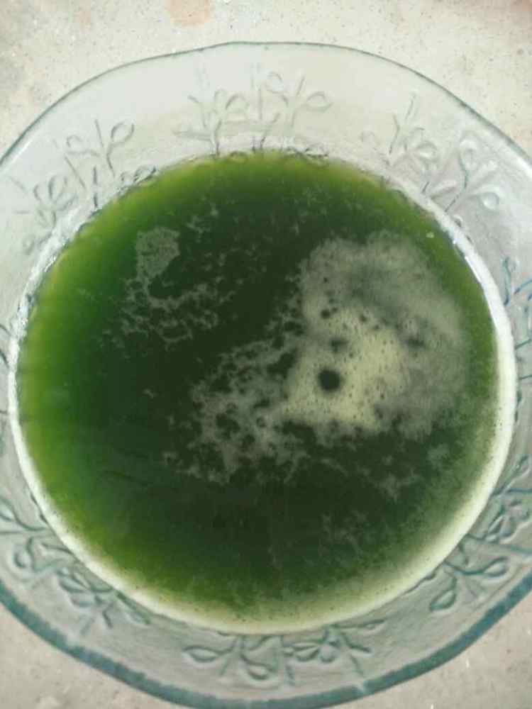 双色猪肉香菜饺子