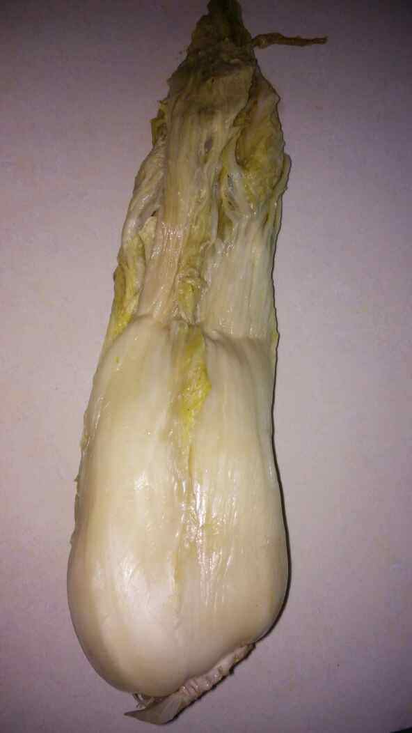 玉米面酸菜猪肉锅贴