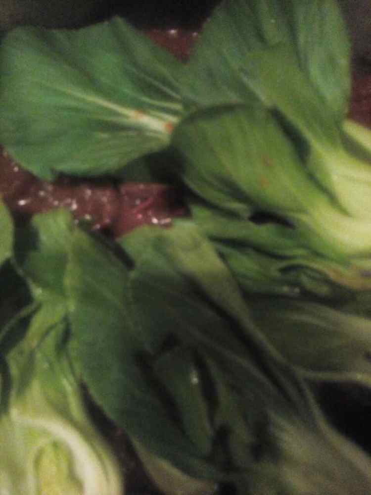 牛肉丝炒油菜