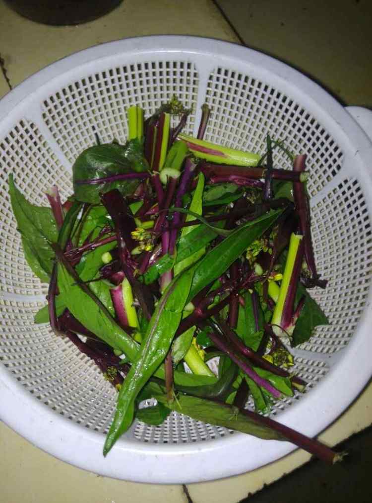 红菜苔炒腐竹