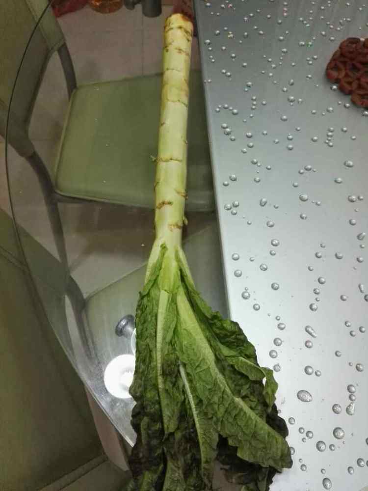 双笋配