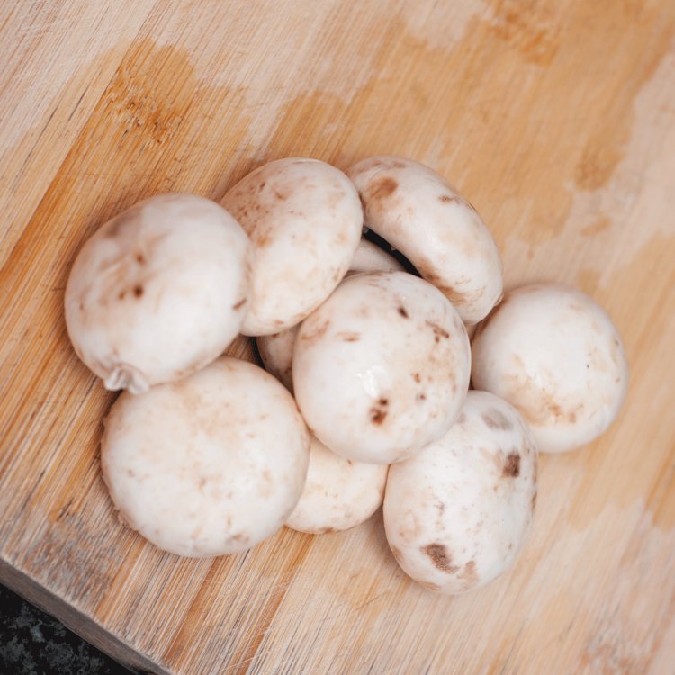 口菇烩豆腐