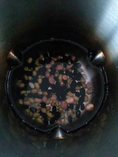 花生黑豆浆