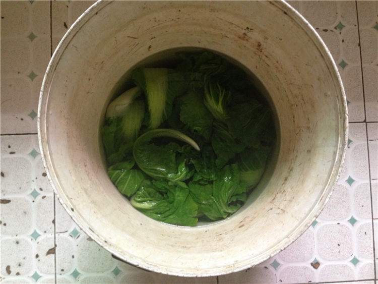 清炒白菜老叶