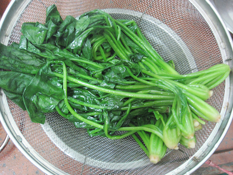 油淋菠菜