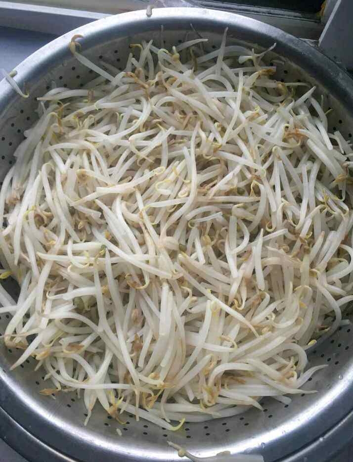 凉拌豆芽