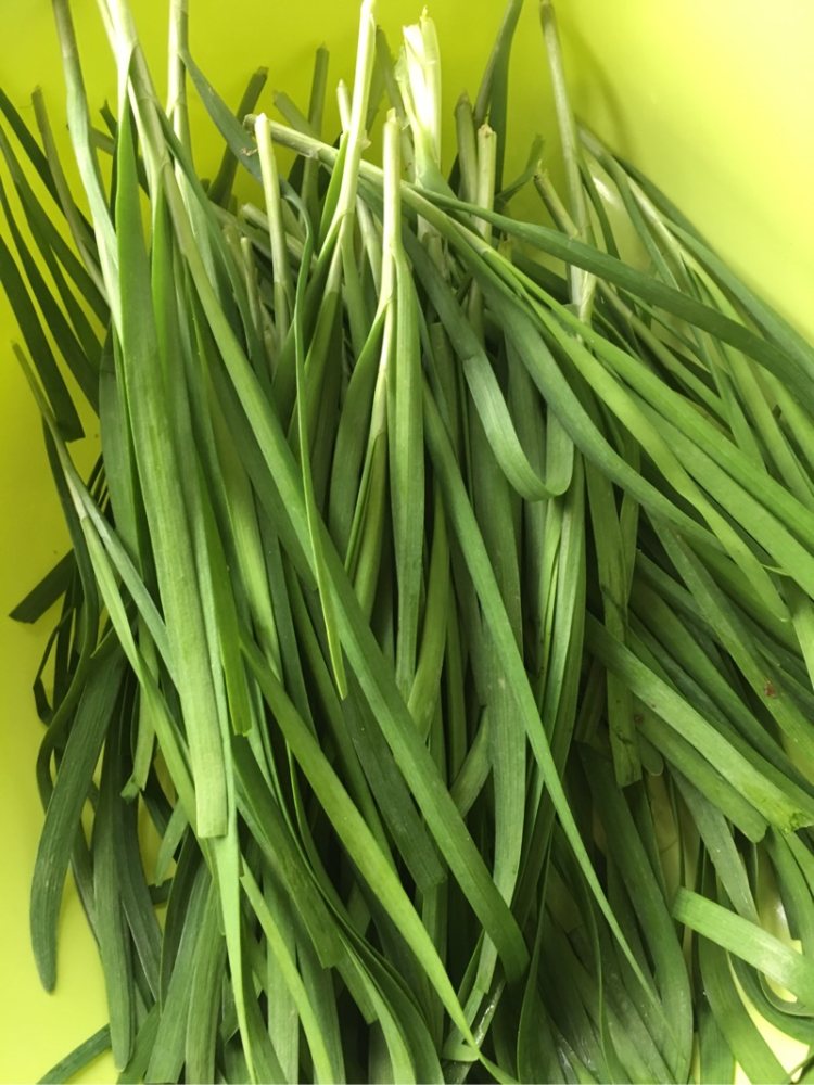 蚝油韭菜炒豆皮