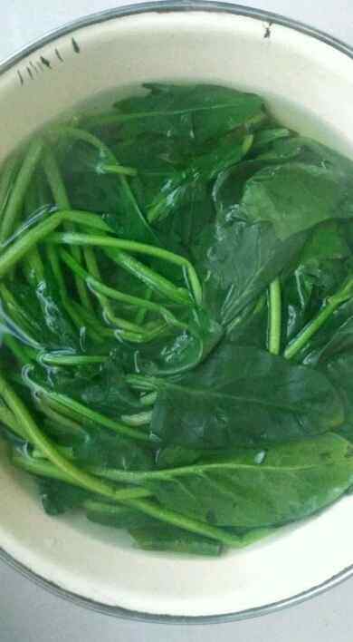 凉调菠菜