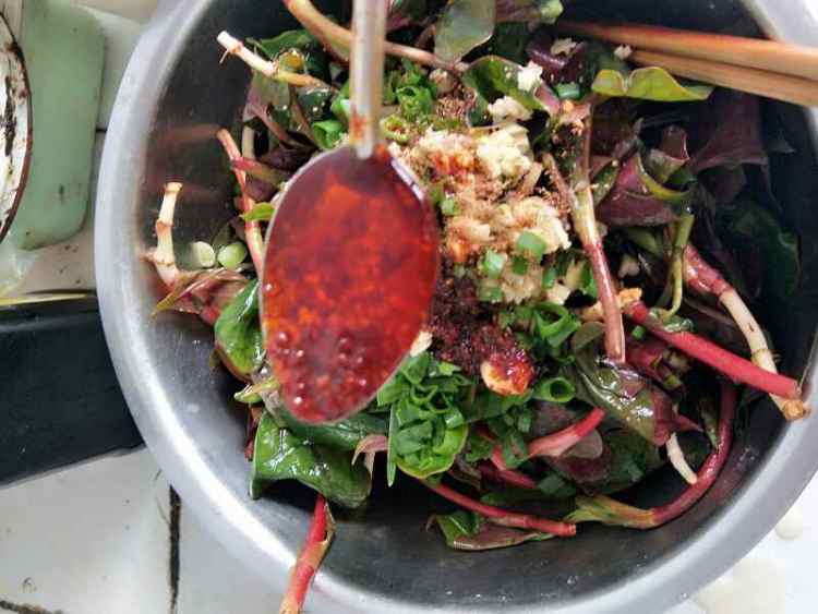 凉拌鱼腥草嫩野
