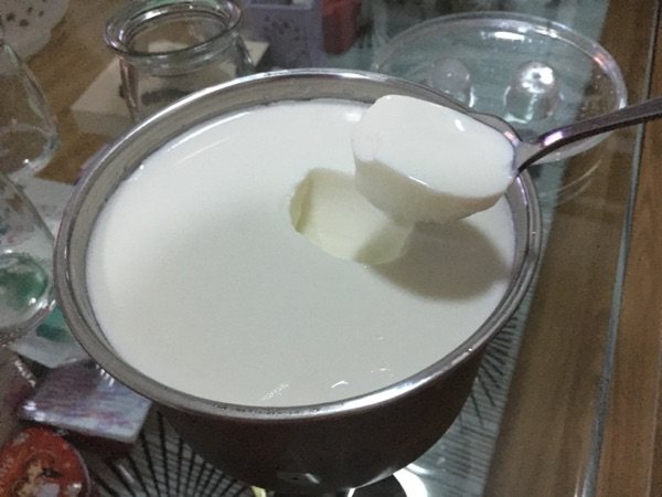 自制酸奶