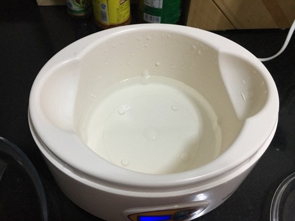 自制酸奶